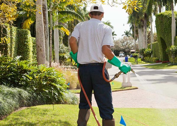 About Bagley WI Pest Control
